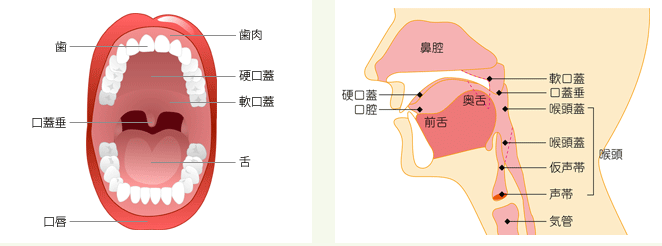 どこにできるの？