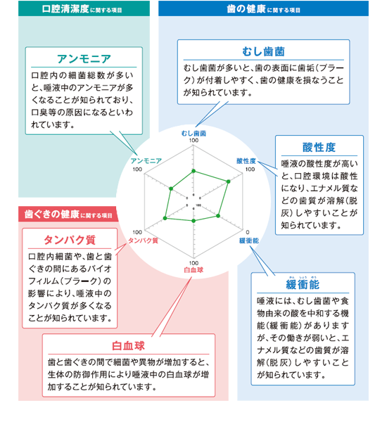 唾液検査でわかる６つの項目